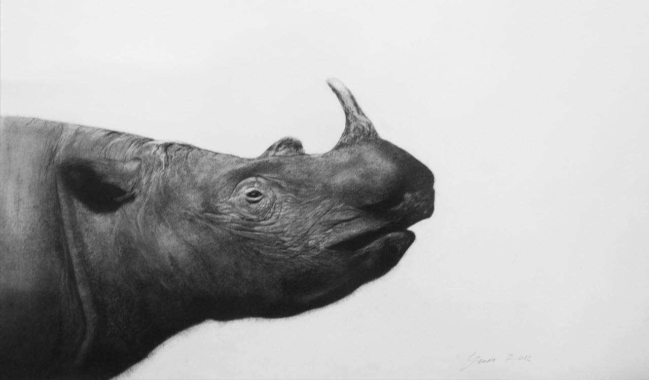 Въглен пресован Faber Castell  PITT Monochrome