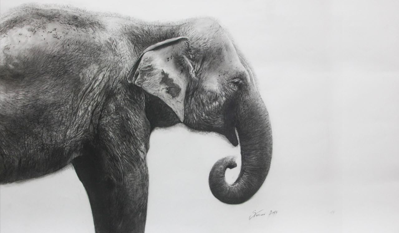 Въглен пресован Faber Castell  PITT Monochrome