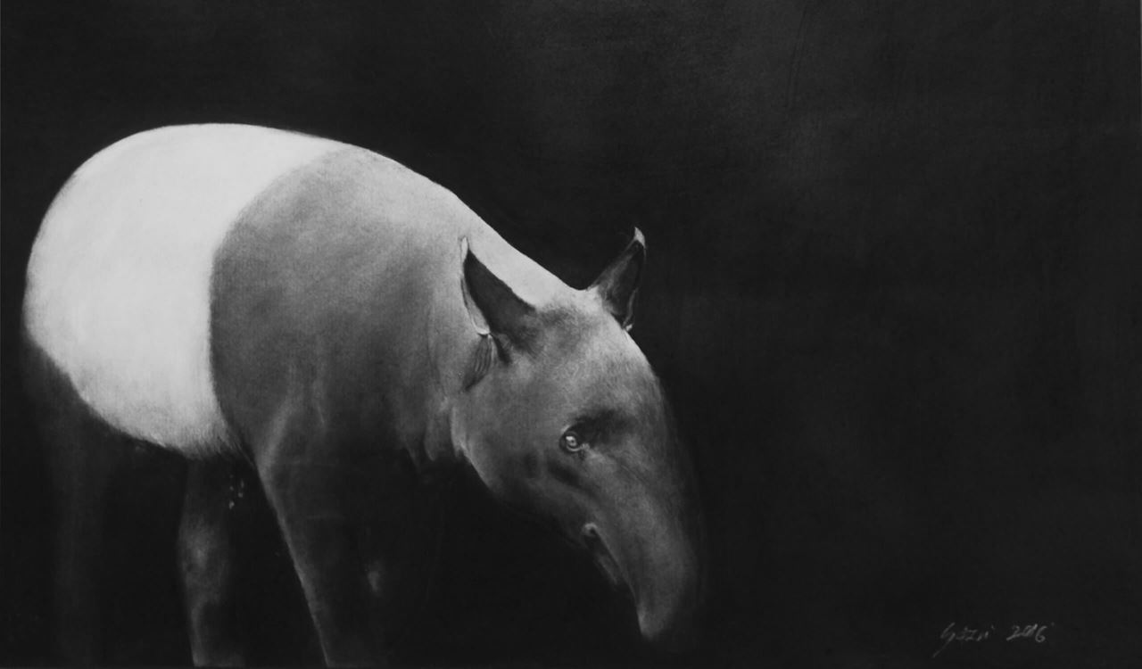 Въглен пресован Faber Castell  PITT Monochrome