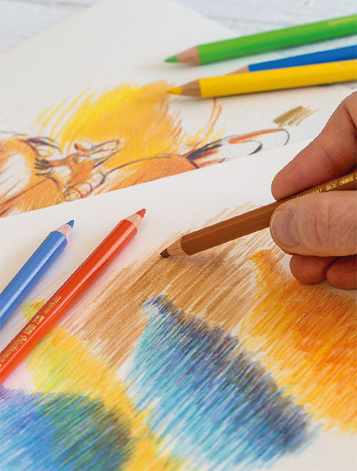 Моливи цветни Polychromos комплекти - Специална селекция