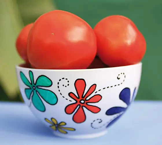 Маркери за порцелан комплекти Marabu Porcelain painters