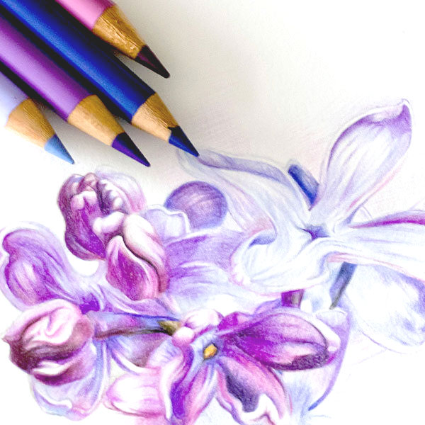 Моливи цветни Polychromos комплекти - Специална селекция