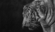 Въглен пресован Faber Castell  PITT Monochrome