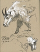 Маркер с объл връх Artist Pen - 1,5 мм Faber-Castell